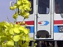 : D:\homepage쐬֌W\NEW\train\tphoto\spring.jpg