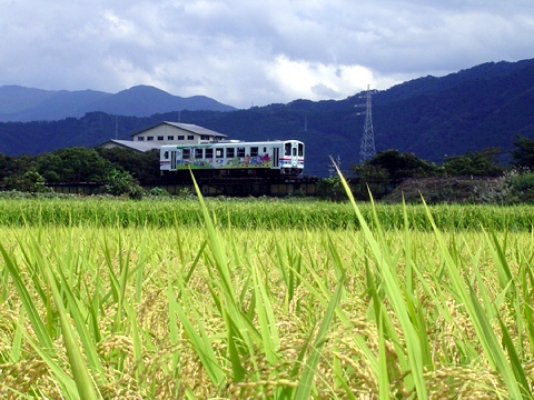 : D:\homepage쐬֌W\NEW\train\tphoto\wakatetsu_ine1.jpg