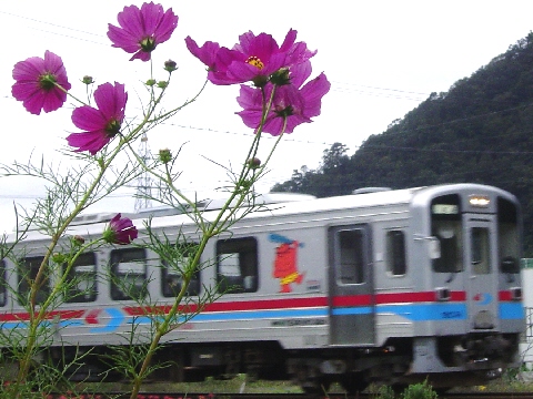 : D:\homepage쐬֌W\NEW\train\tphoto\waka_cos.jpg