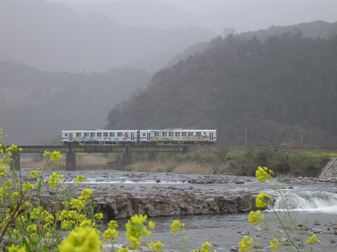 説明: D:\homepage作成関係\NEW\train\tphoto\waka_nanohana_dondo.jpg