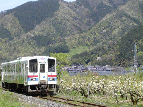 説明: D:\homepage作成関係\NEW\train\tphoto\wakatetsu_nashi.jpg