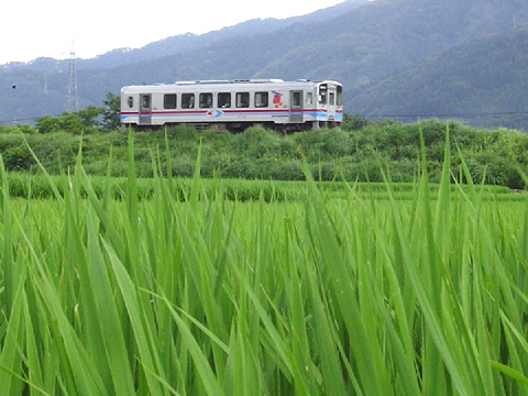 : D:\homepage쐬֌W\NEW\train\tphoto\wakatetsu_suiden_1.jpg