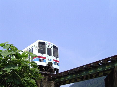 : D:\homepage쐬֌W\NEW\train\tphoto\wakatetsu_natsu.jpg
