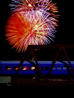 : : D:\NEW\train\n\sashi24.jpg
